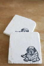 Clumber Spaniel Marble Coasters / Clumber Spaniel / Clumber Spaniel gift/ marble coasters/ marble coaster set/ drink coasters/stone coasters