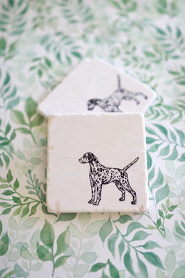 Dalmatian Dog Marble Coasters/ Dalmatian Gift / Dalmatian Drink Coaster/ Tumbled Marble Coasters/Dog Coaster Set/ Dalmatian/ Farmhouse Decor