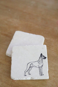 Great Dane Fawn Marble Coaster Set Gift