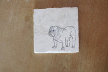 Bulldog Gift Marble Coaster set perfect for dog moms, pet loss or new pet gift