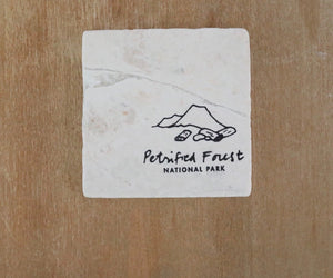 Petrified Forest National Park Coaster Set/ National Park gift/ national park home decor/ stone coasters/ custom coasters/ drink coasters