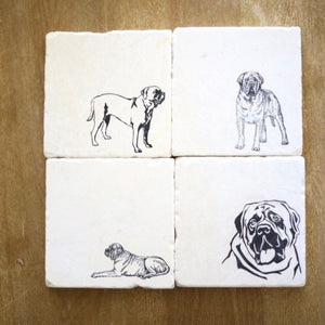 English Mastiff Coaster Set of 4/ English Mastiff Dog Gift