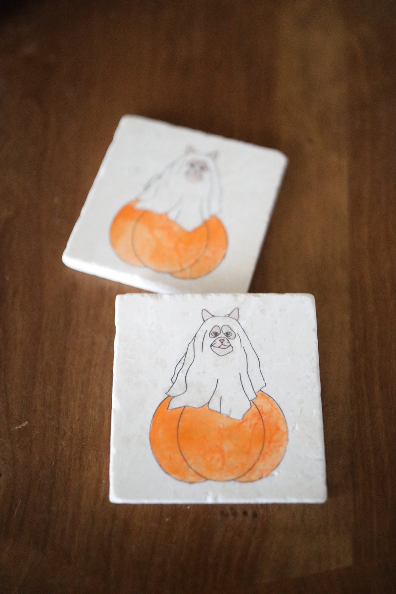 Ghost Cat Pumpkin Marble Coasters – Lace, Grace & Peonies